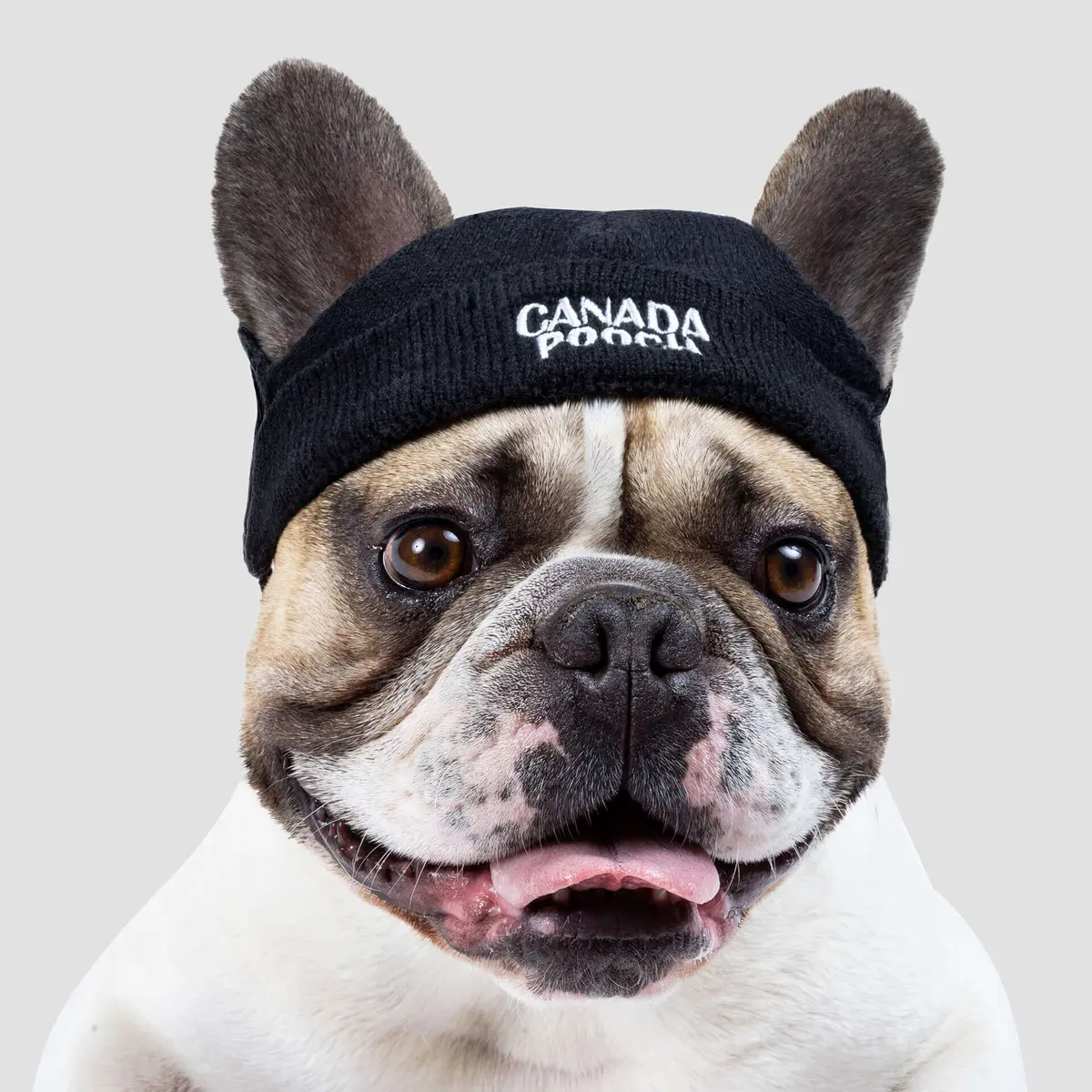 Basic Beanie In Black (Final Ts Sale) 1