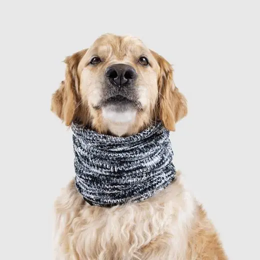 Canada Pooch | Chenille Snood In Grey Mix 1