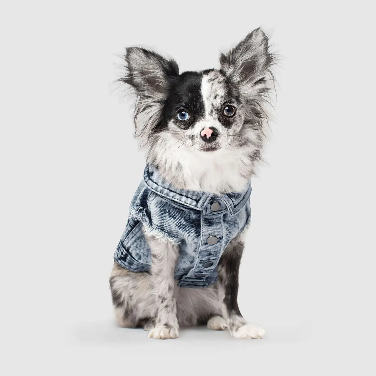 Canada Pooch | Downtown Denim Vest 1