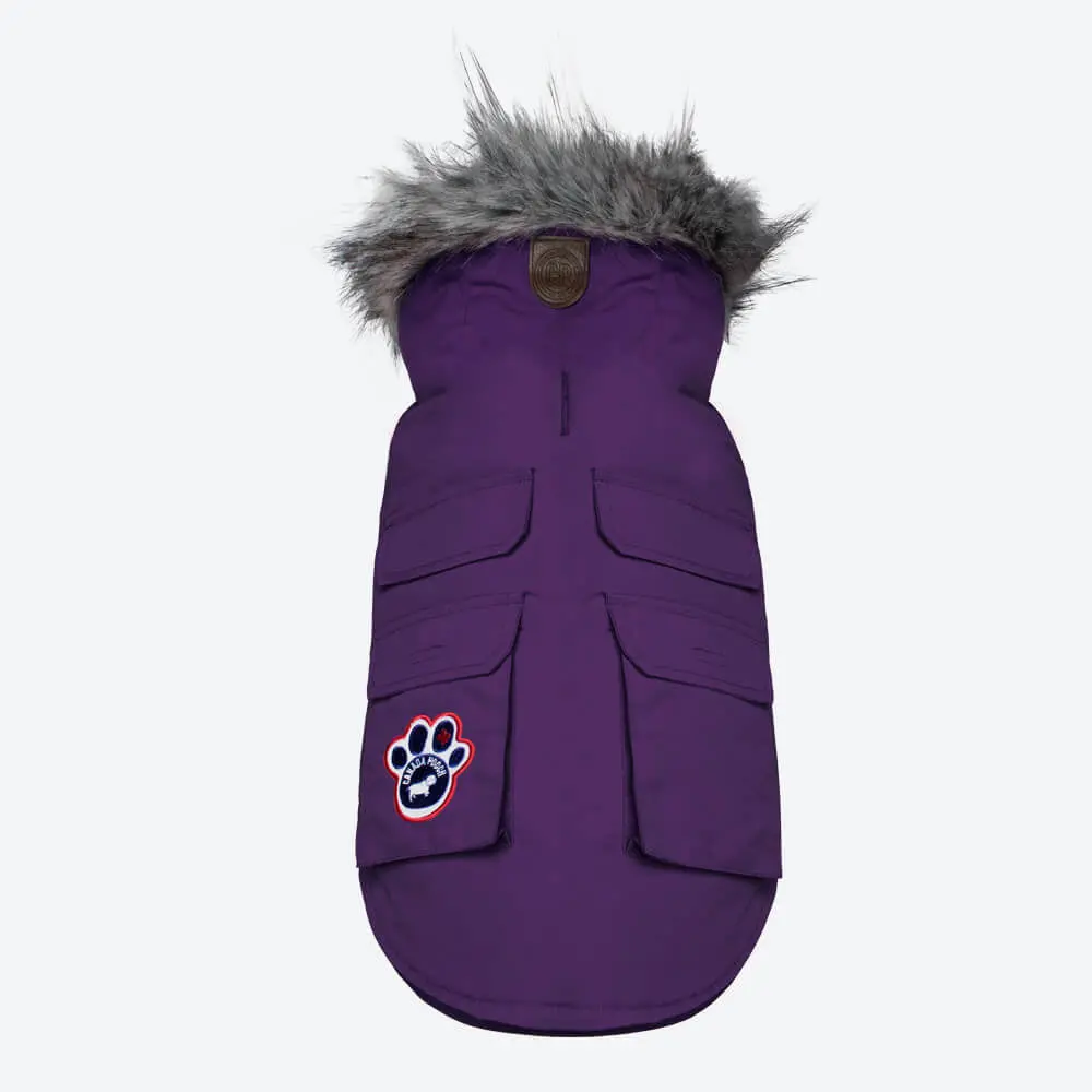 Canada Pooch | Everest Explorer Vest In Plum (Big Dog Sale) 1