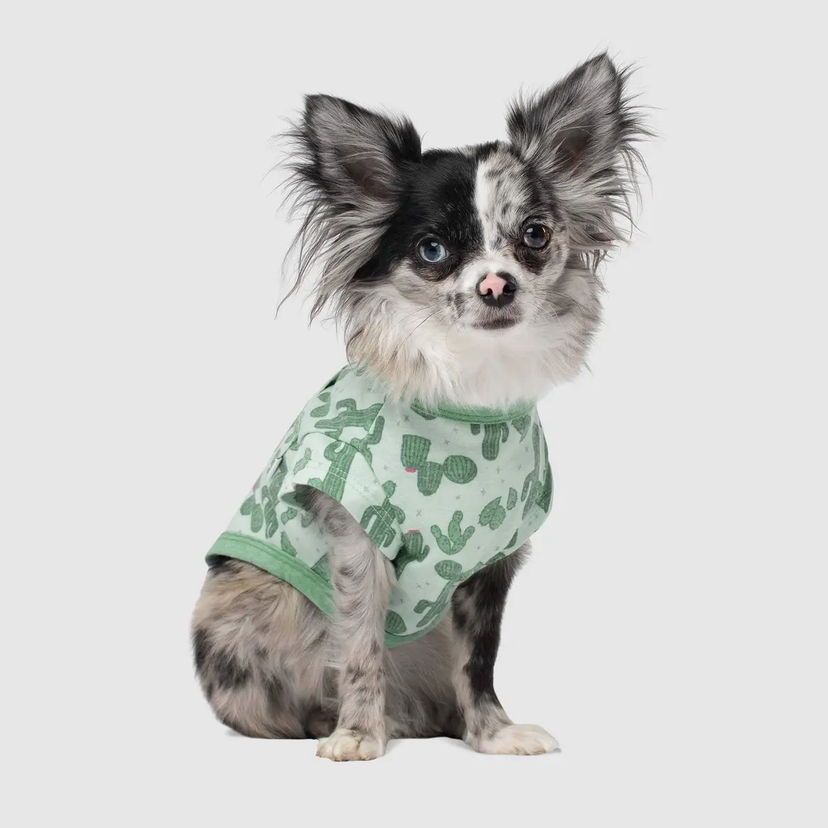 Canada Pooch | Follow Me Tee In Cactus 1