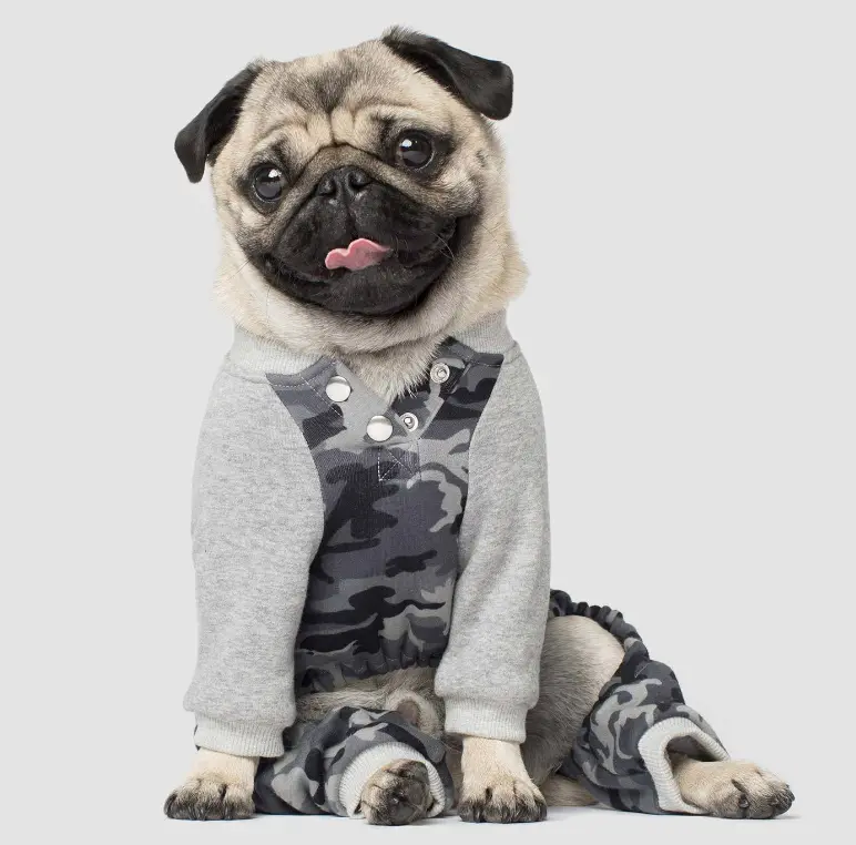 Canada Pooch | Frosty Fleece Sweatsuit In Grey Camo 2