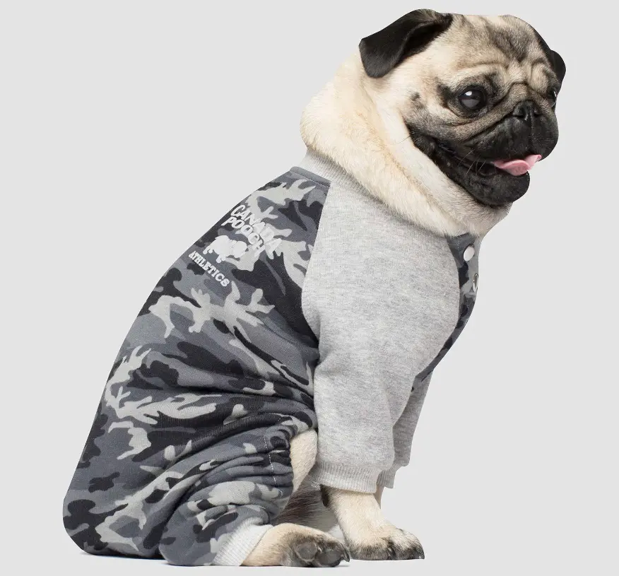 Canada Pooch | Frosty Fleece Sweatsuit In Grey Camo 1