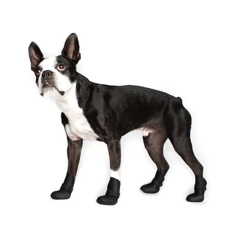 Canada Pooch | Wellies Boots 1