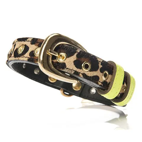 Chaco | Collar In Leopard 1