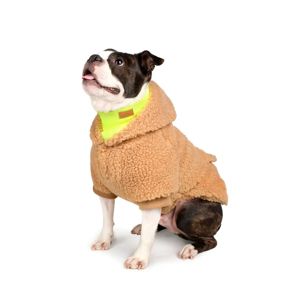 Charlie's Backyard | Dickie Hoodie In Tan 3
