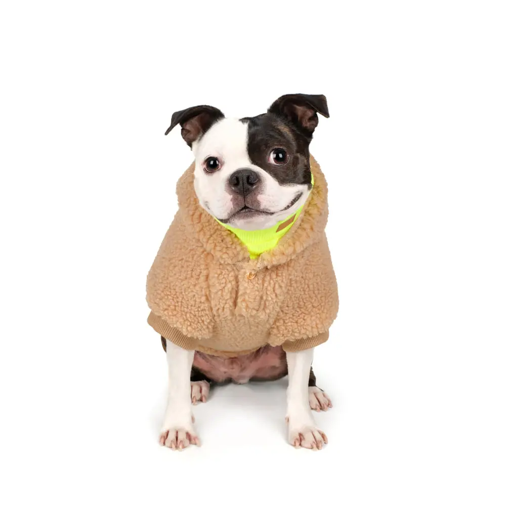 Charlie's Backyard | Dickie Hoodie In Tan 4