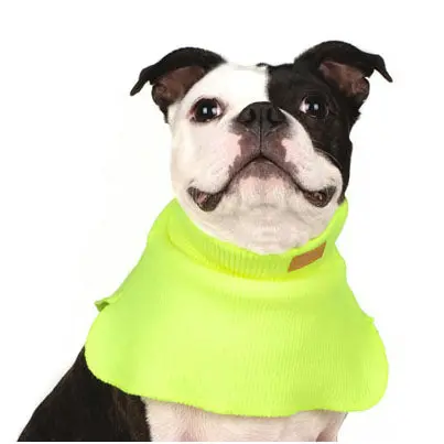 Charlie's Backyard | Dickie Turtleneck Warmer In Neon Yellow 1