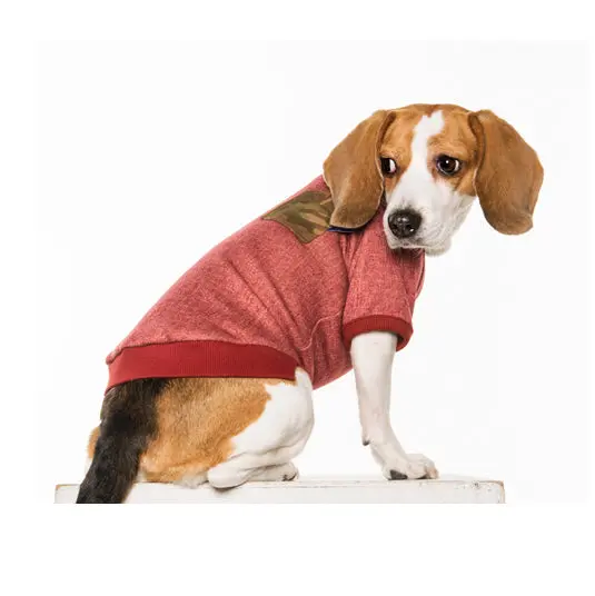 Charlie's Backyard | Lucy Pullover In Red 1