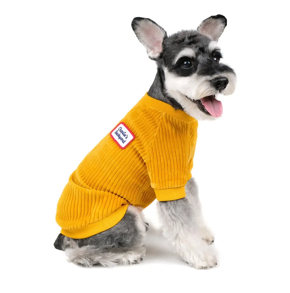 Charlie's Backyard | Alley Pullover In Mustard 1