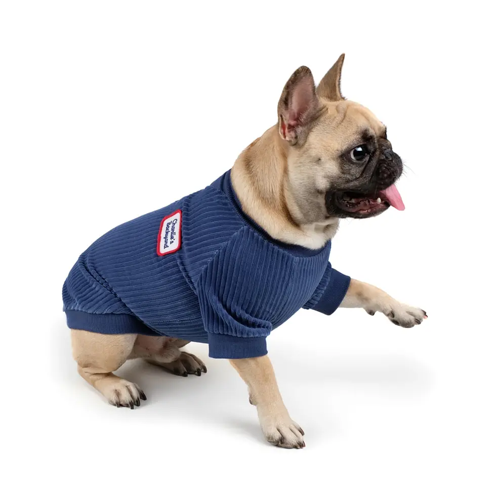 Charlie's Backyard | Alley Pullover In Navy 1