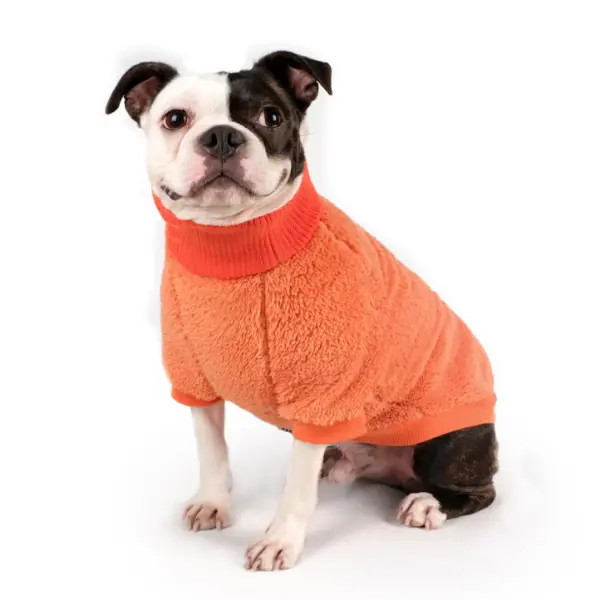 Charlie's Backyard | Cozy Turtleneck In Orange 1