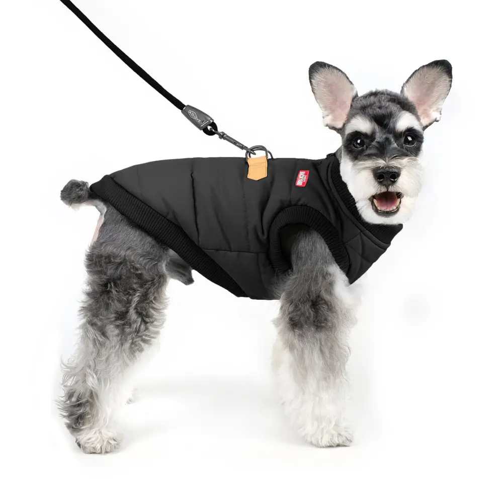 Charlie's Backyard | Harness Jacket In Black 1
