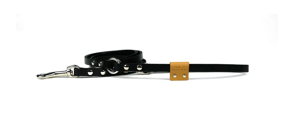 Charlie's Backyard | Leather Leash In Black 1