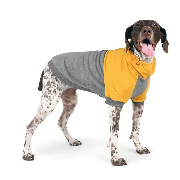 Charlie's Backyard | Rover Pullover In Grey & Yellow 1