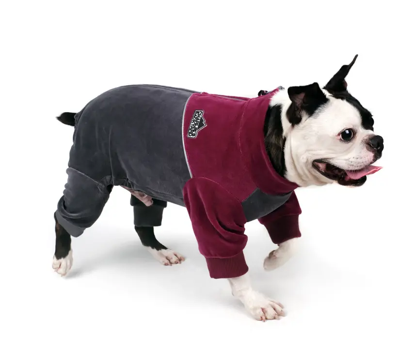 Charlie's Backyard | Sierra Onesie In Gray 1