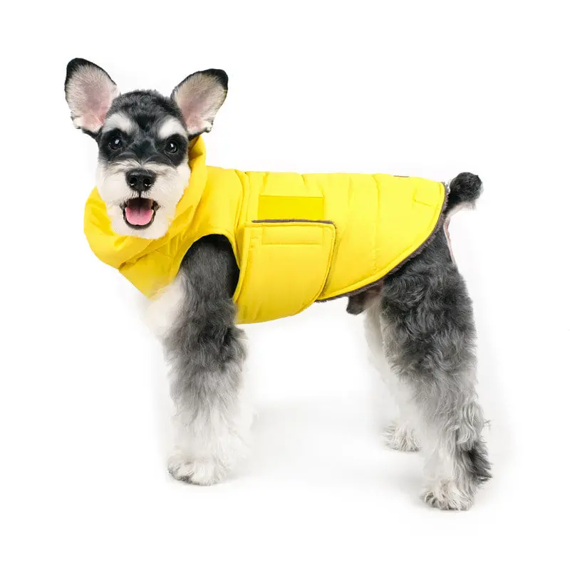Charlie's Backyard | Turtle Padding Jacket In Yellow 1