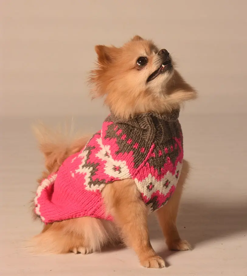 Chilly Dog | Hot Pink Alps Sweater 1