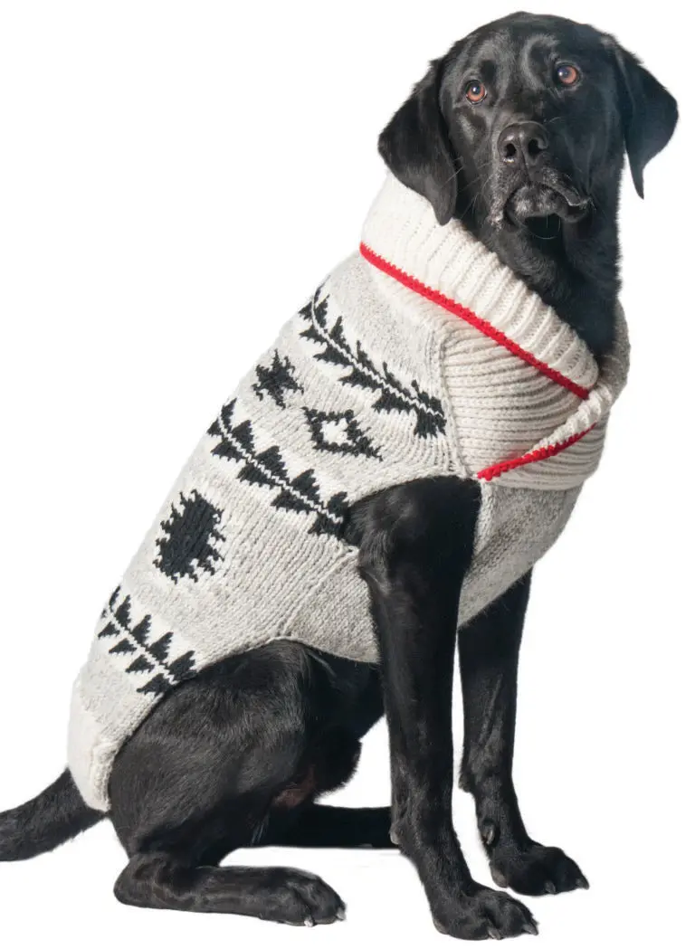 Jackson Wool Sweater 1