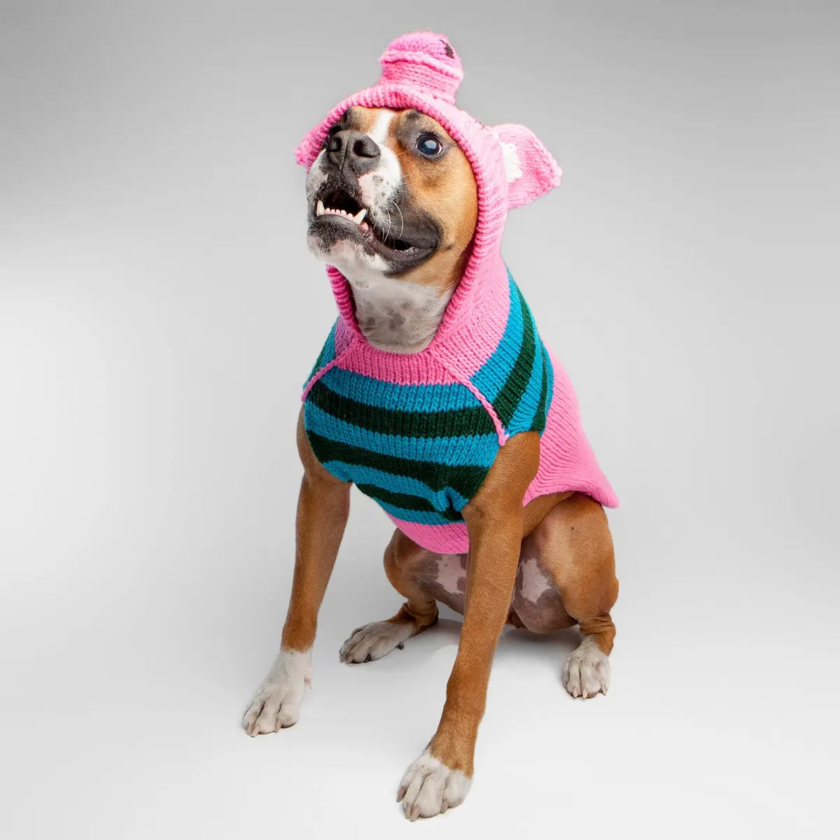 Chilly Dog | Pink Piggy Hoodie Sweater (Big Dog Sale) 1