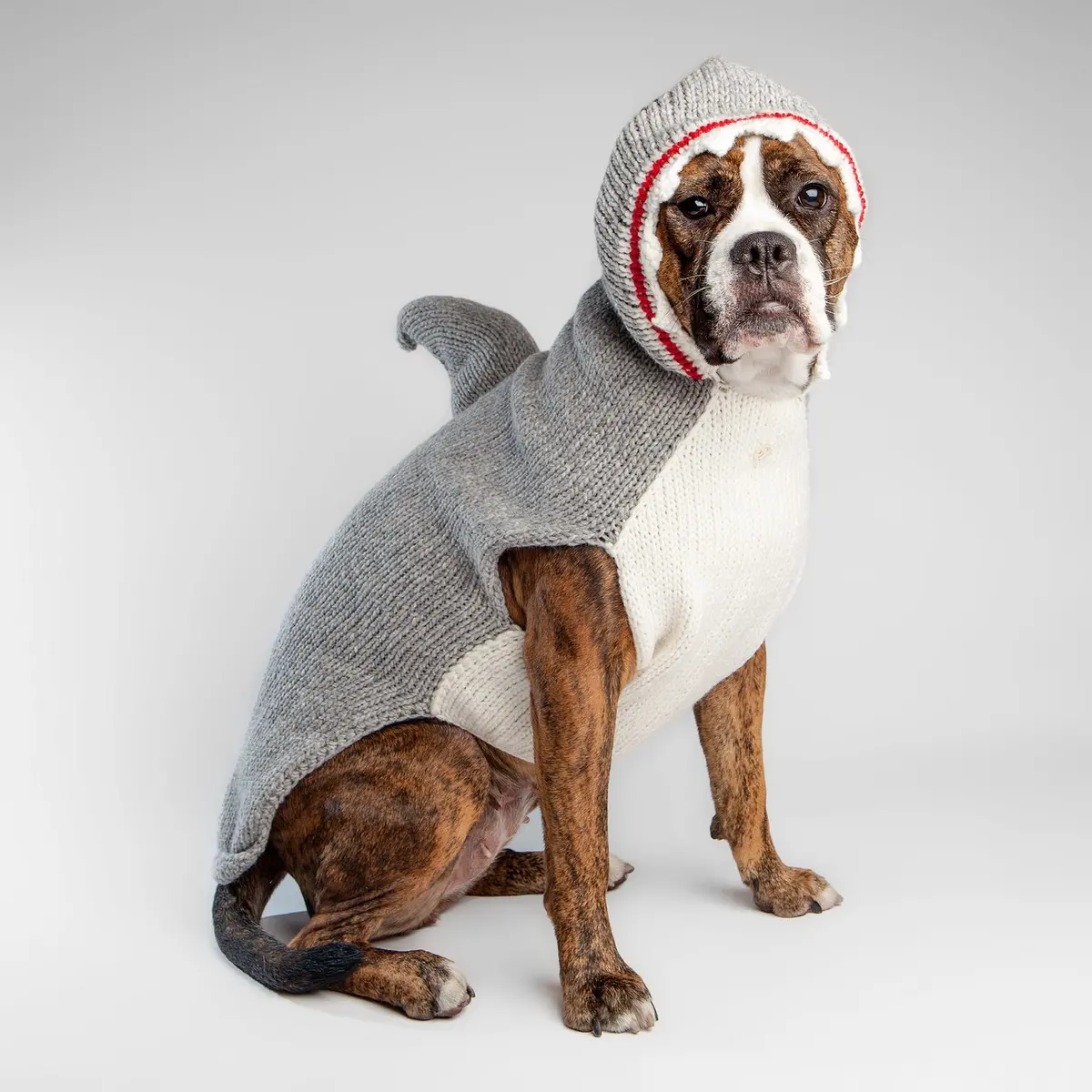 Chilly Dog | Shark Hoodie Sweater 1