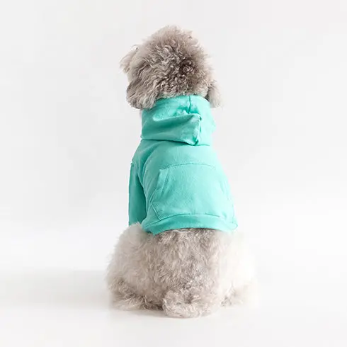 Cote A Cote | Crop Hoodie In Mint 1
