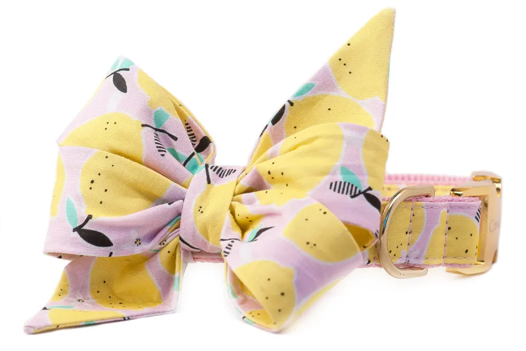 Crew La La | Belle Bow In Fresh Squeezed 1