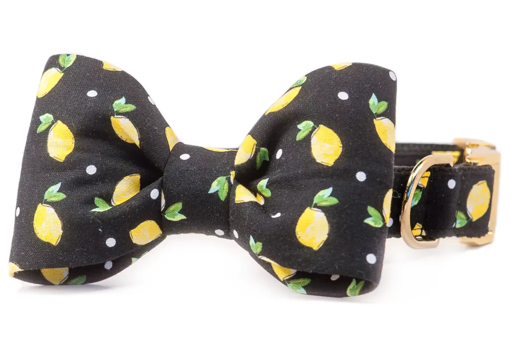 Crew La La | Tom Collins Bow Tie 1