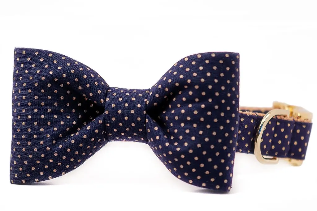 Crew La La | Navy & Gold Dot Bow Tie 1