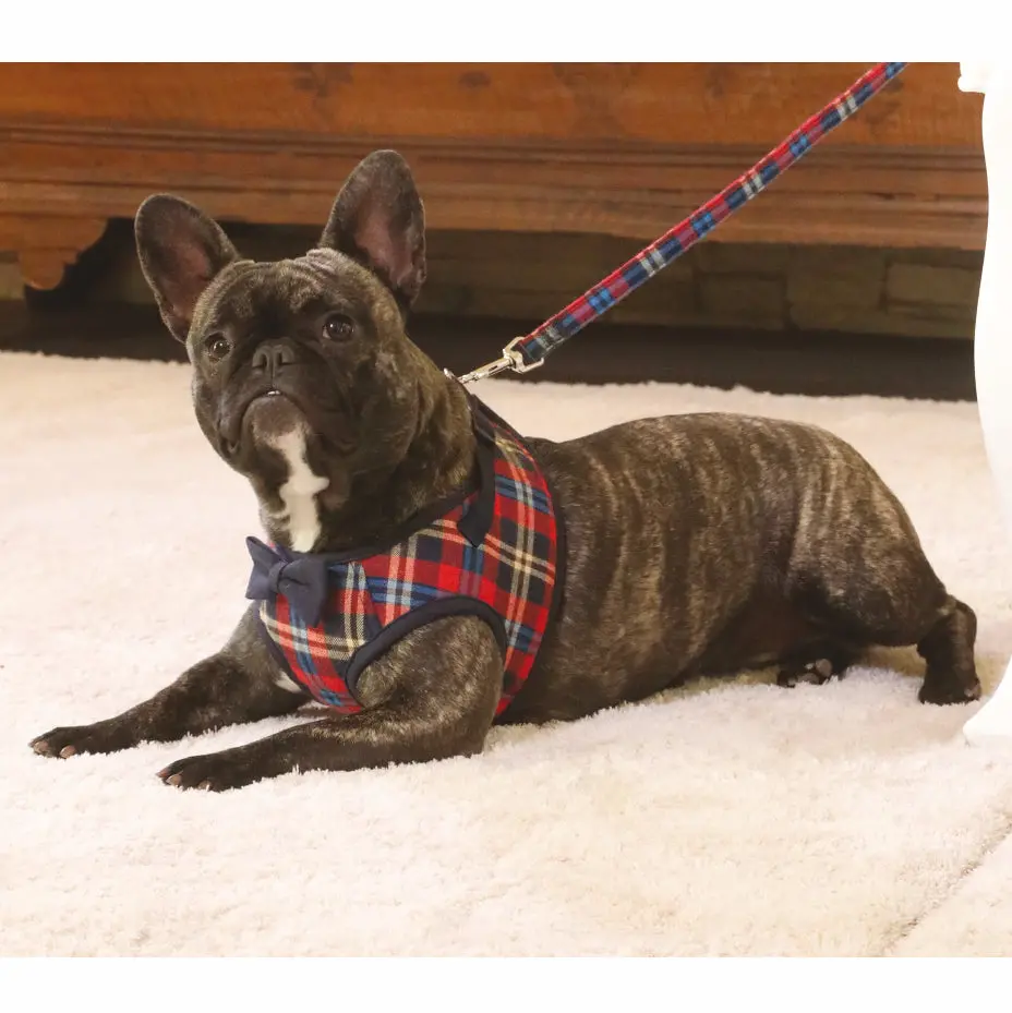 Croci | British Plaid Leash 1