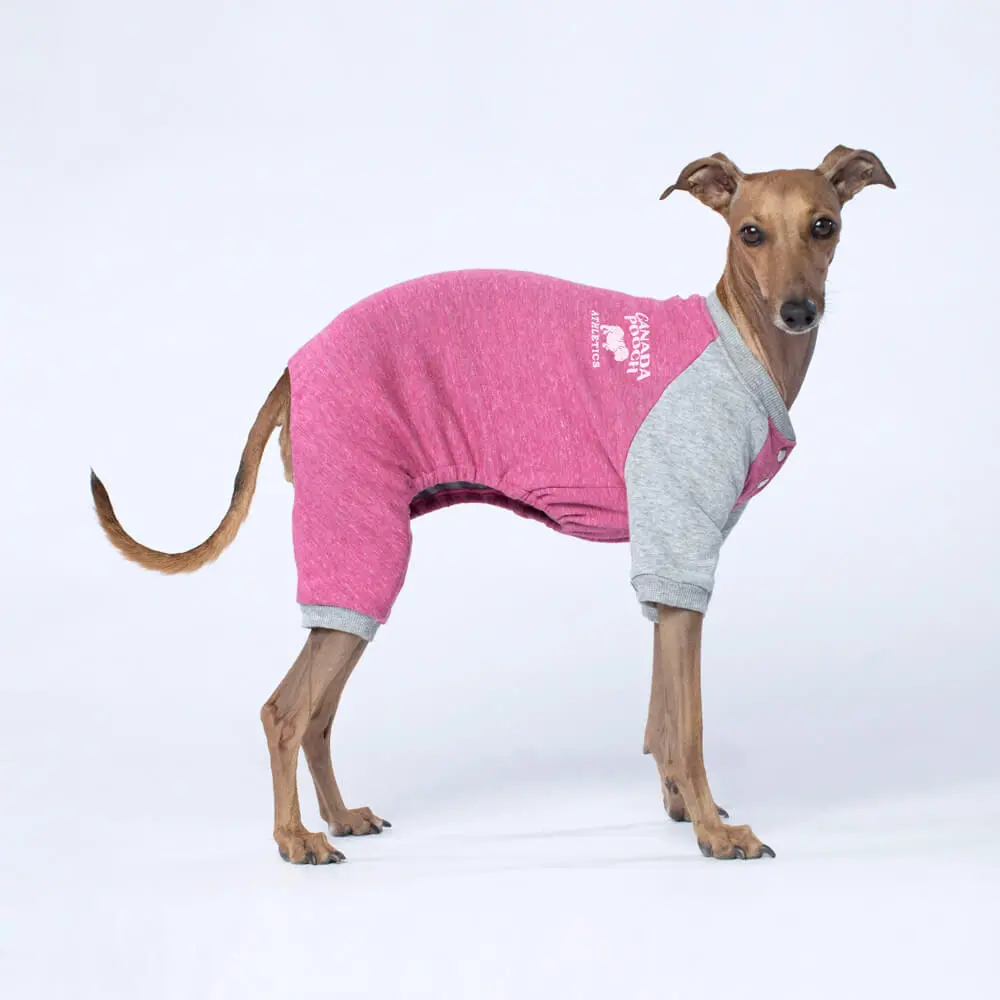 Canada Pooch | Frosty Fleece Sweatsuit In Rasberry 1