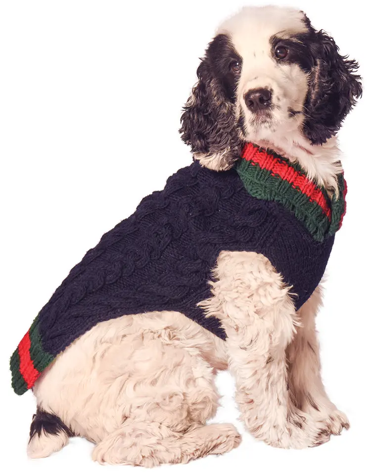 Chilly Dog | Varsity Sweater 1
