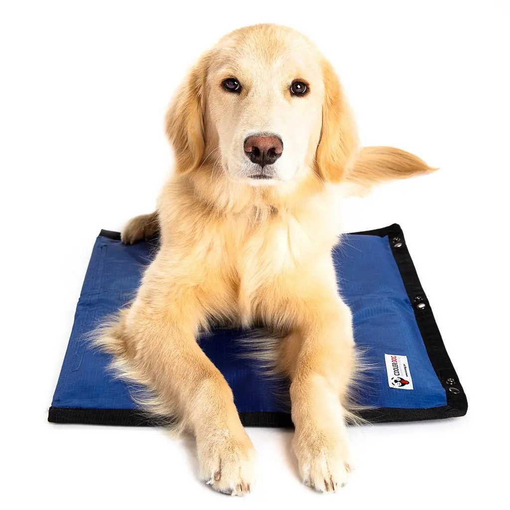 Cooler Dog | Turbo Cooling Mat 1