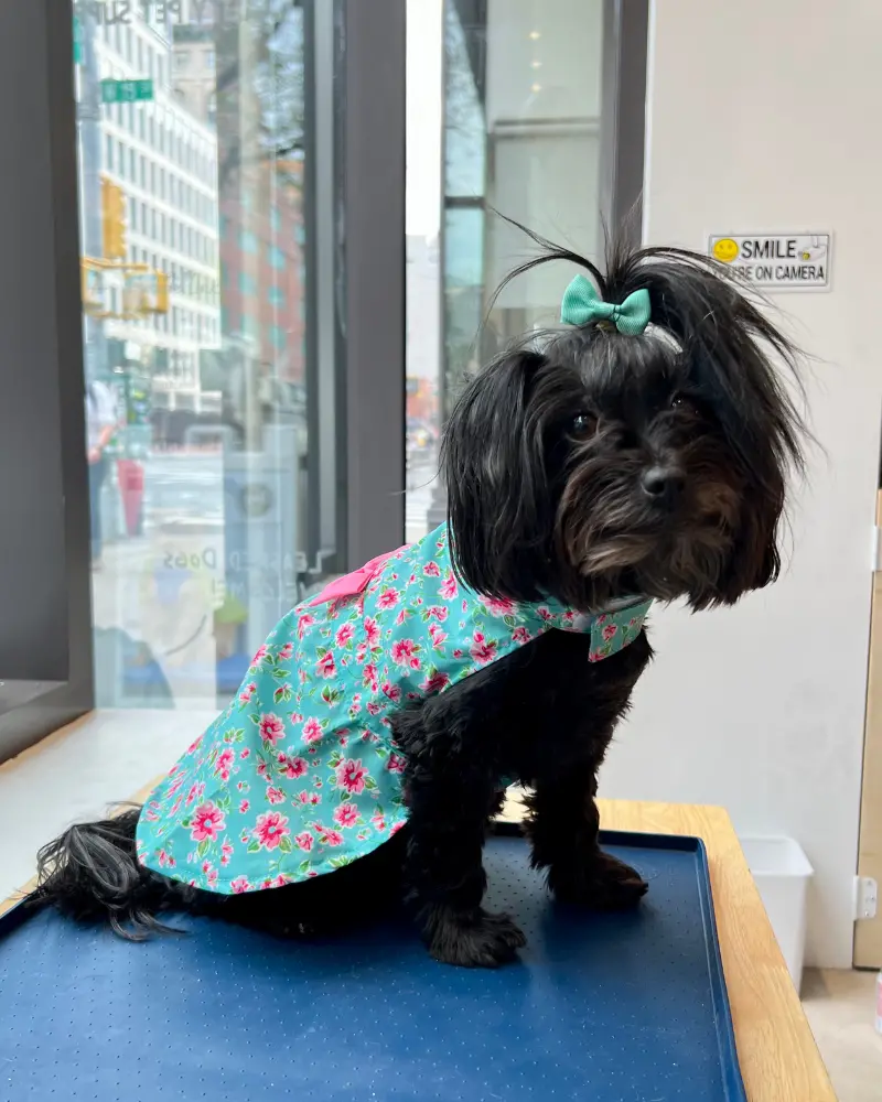 Watercolor Floral Dog Dress (Final Sale) 1