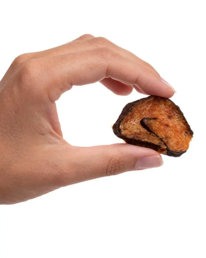 Salmon Sushi Soft Dog Treats (Made In The Usa) 2