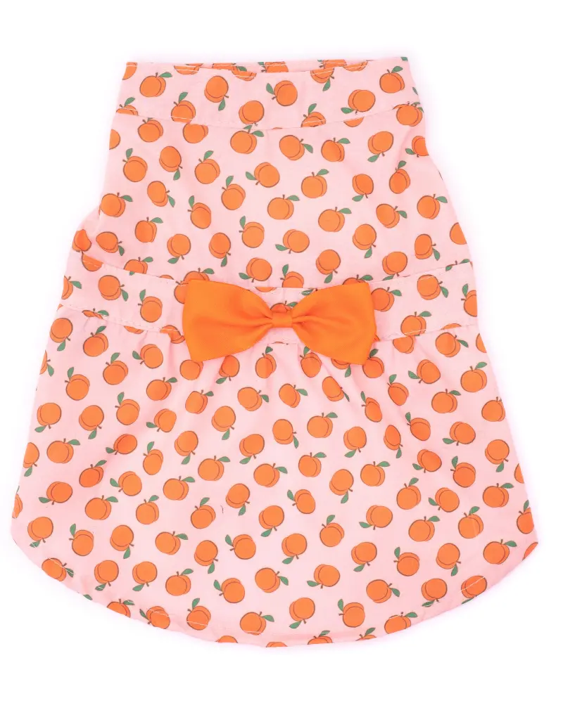 Peachy Keen Dog Dress (Clearance) 1