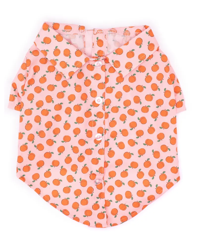 Peachy Keen Dog Shirt (Clearance) 1