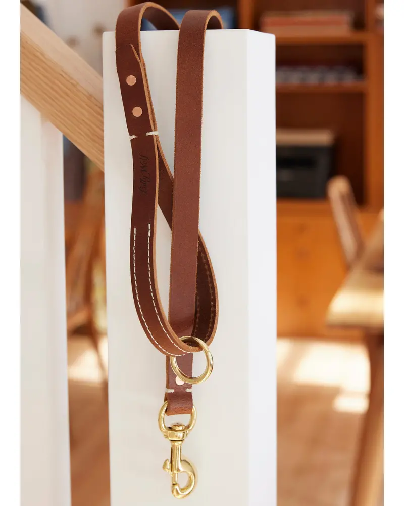 Rambler Standard Dog Leash In Terra 1
