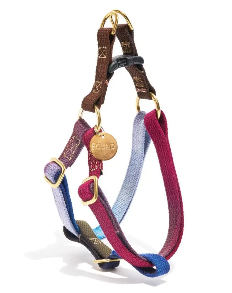 Cotton Webbing Dog Harness In Mood Ring (Final Sale) 1