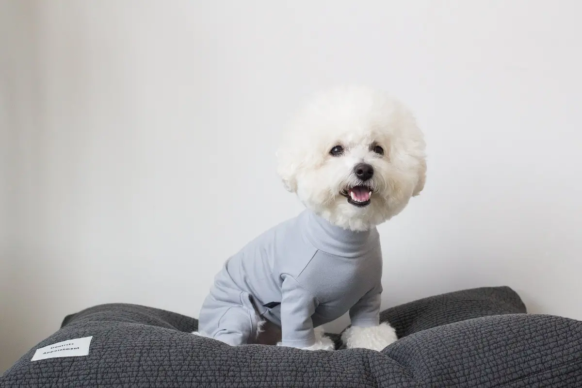 Dentists Appointment | Body Warm All-In-One In Light Grey 4