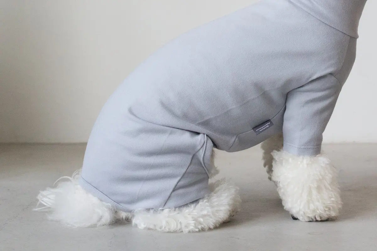 Dentists Appointment | Body Warm All-In-One In Light Grey 5