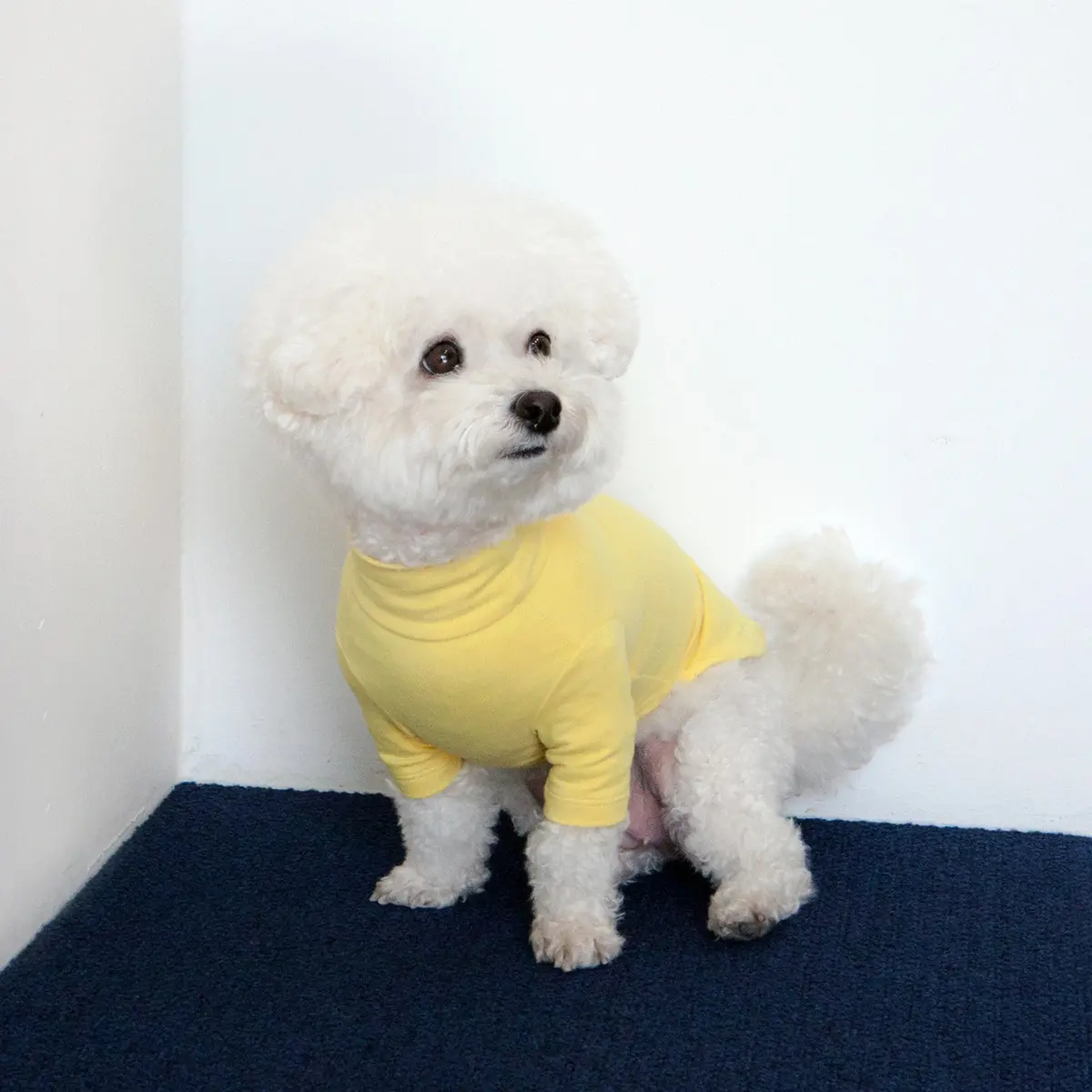 Body Warm Turtleneck In Lemon Yellow (Final Sale) 1