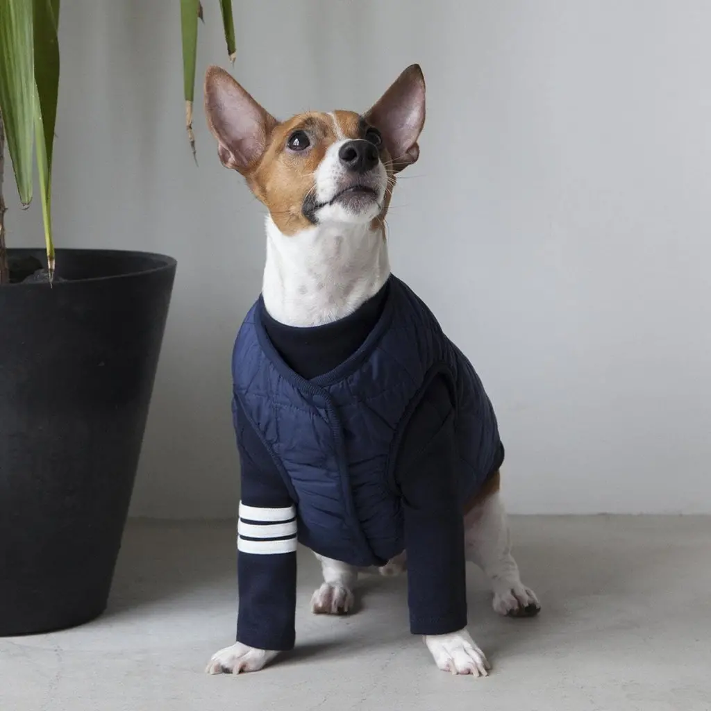 Dentists Appointment | Warm Quilted Vest In Navy (W/ Harness Hole) 1
