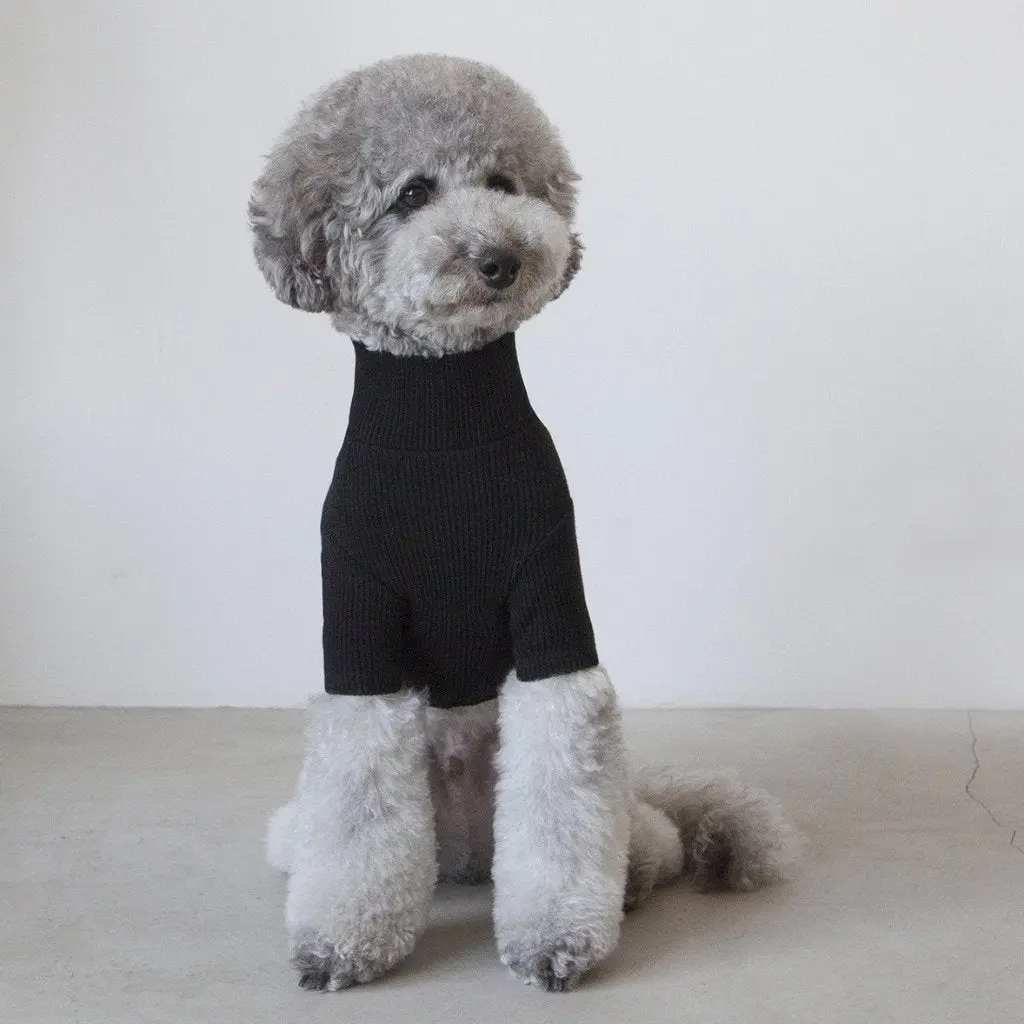 Dentists Appointment | Skinny Rib Rollneck In Black 1