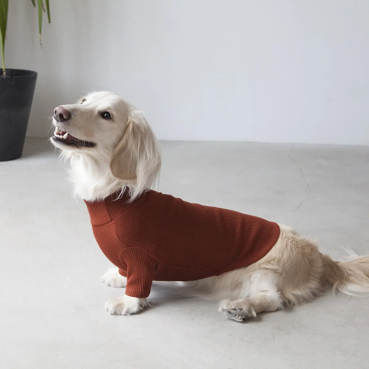Dentists Appointment | Skinny Rib Rollneck In Brick Brown 1
