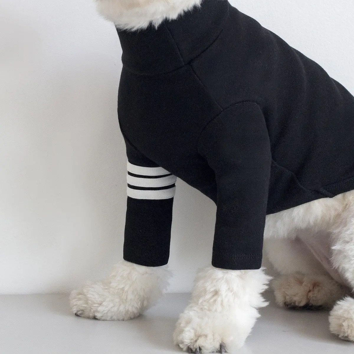 Dentists Appointment | Striped Point Turtleneck In Black 1