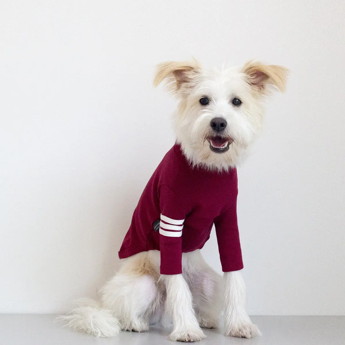Dentists Appointment | Striped Point Turtleneck In Burgundy 1
