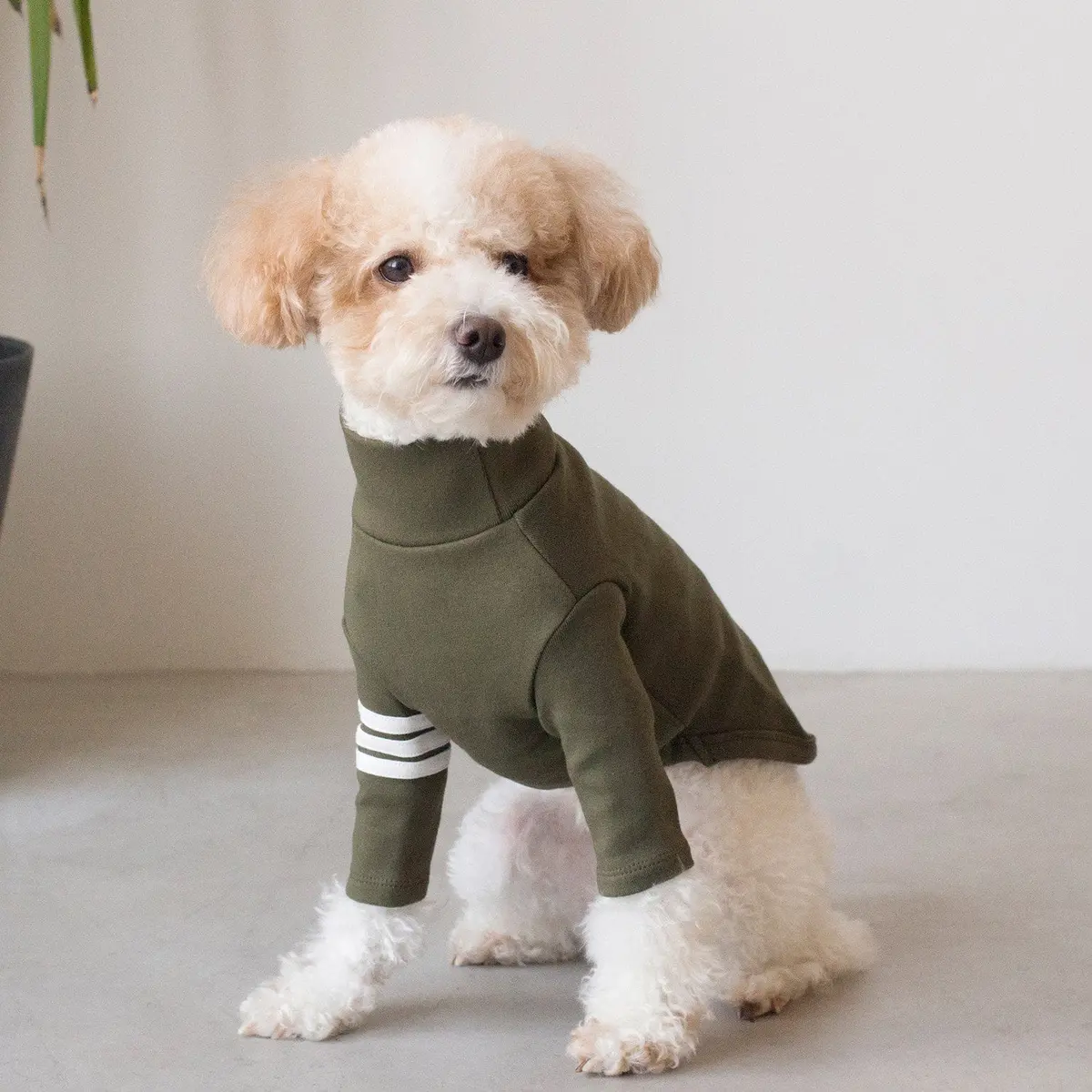 Dentists Appointment | Striped Point Turtleneck In Khaki 1