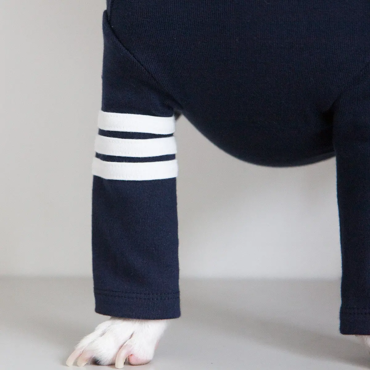 Dentists Appointment | Striped Point Turtleneck In Navy 1