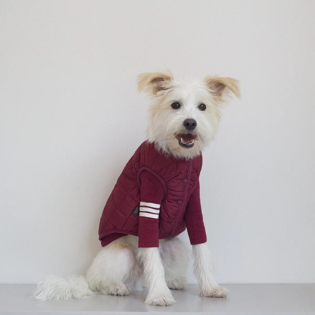 Dentists Appointment | Warm Quilted Vest In Burgundy (W/ Harness Hole) 3